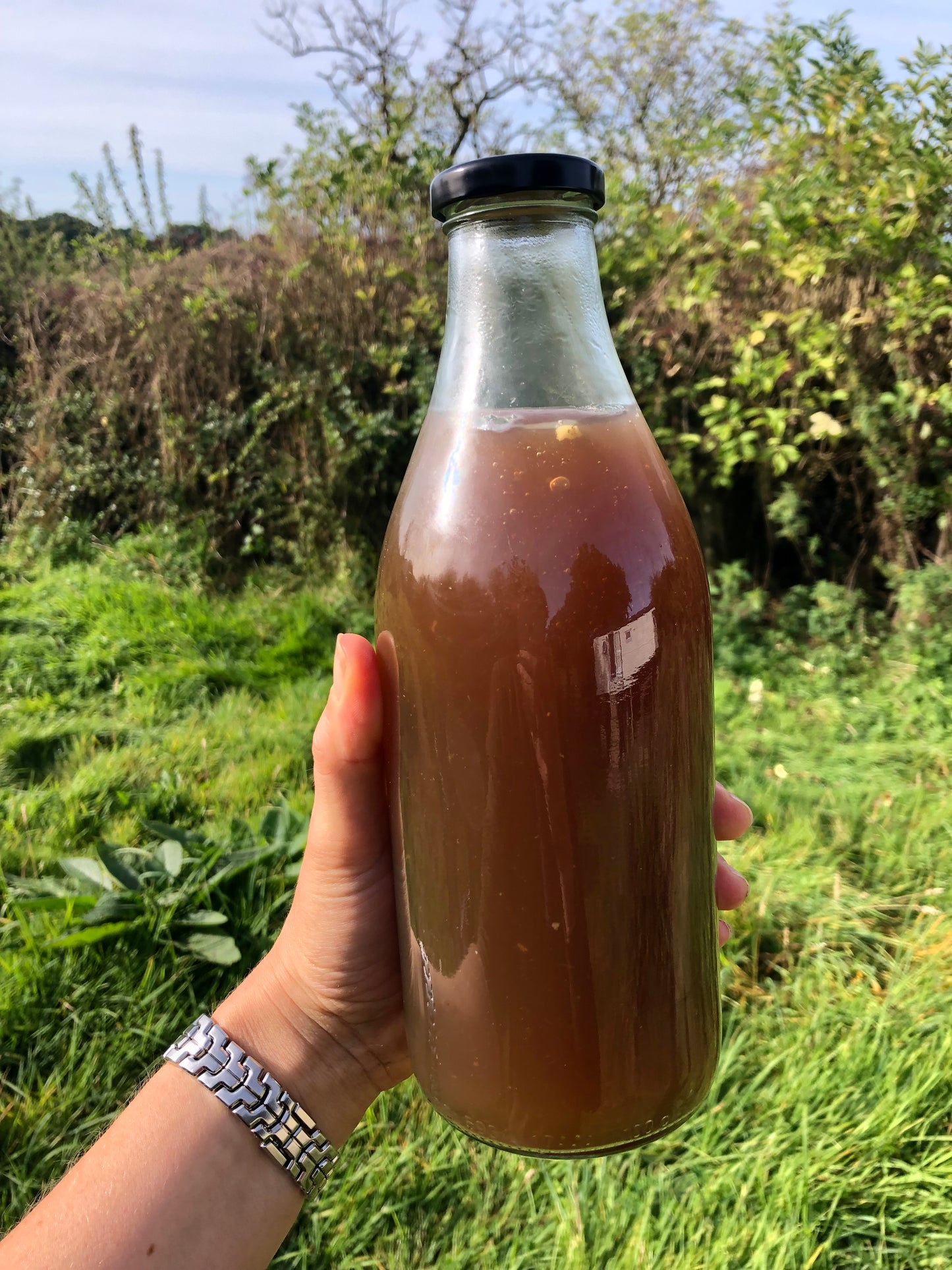 Beef Bone Broth