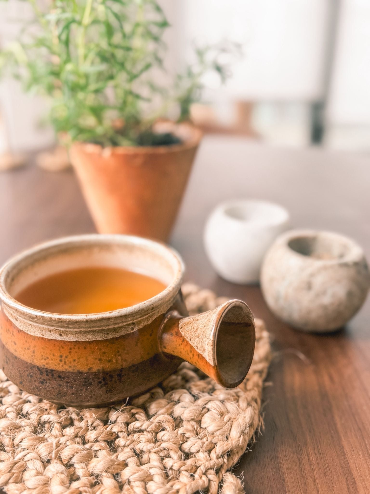Fresh vs Powdered Bone Broth: What’s the Real Difference?