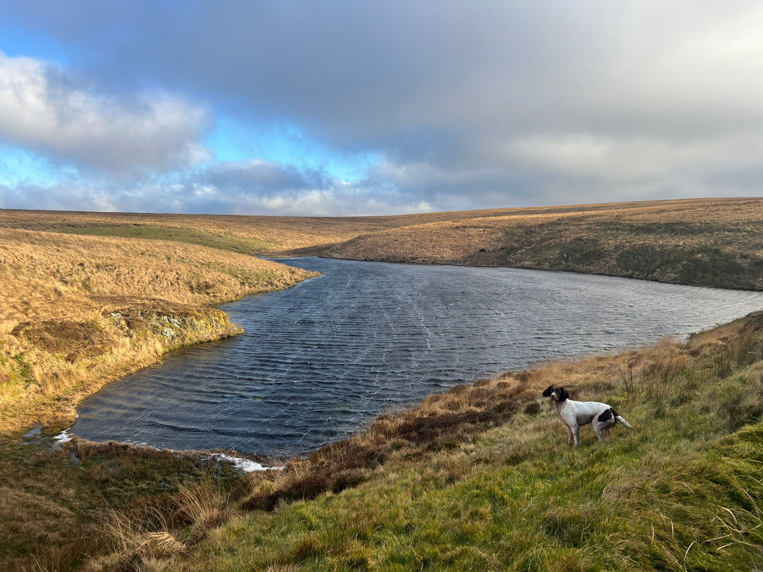 5 reasons you should only drink bone broth with spring water