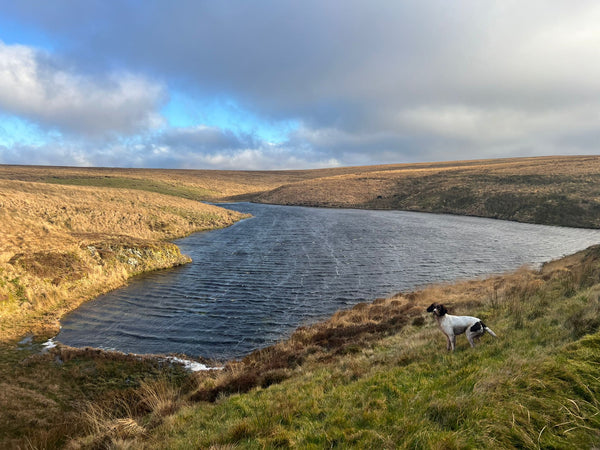 5 reasons you should only drink bone broth with spring water