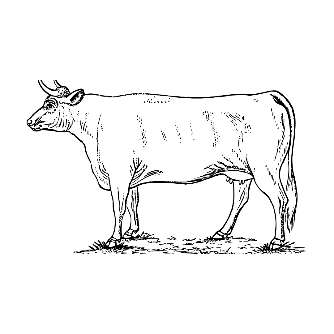 Beef Bone Broth - 1L