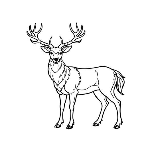 Wild Venison Bone Broth